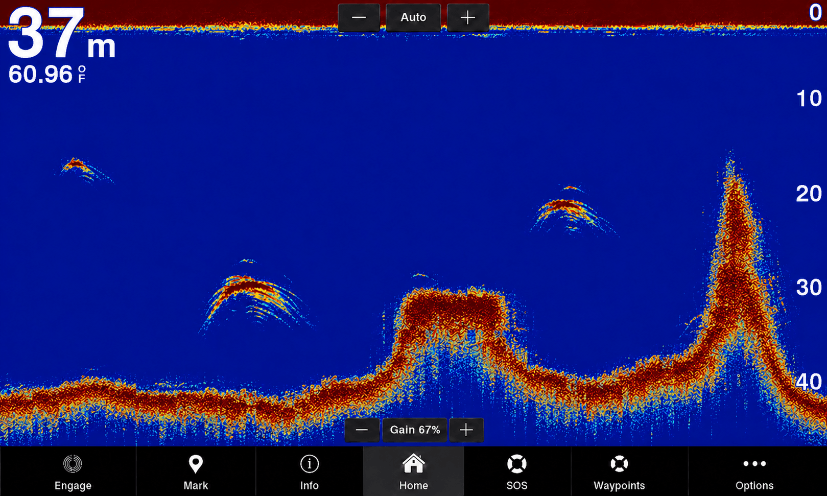 A professional sonar display showing dense, color-coded return signals
