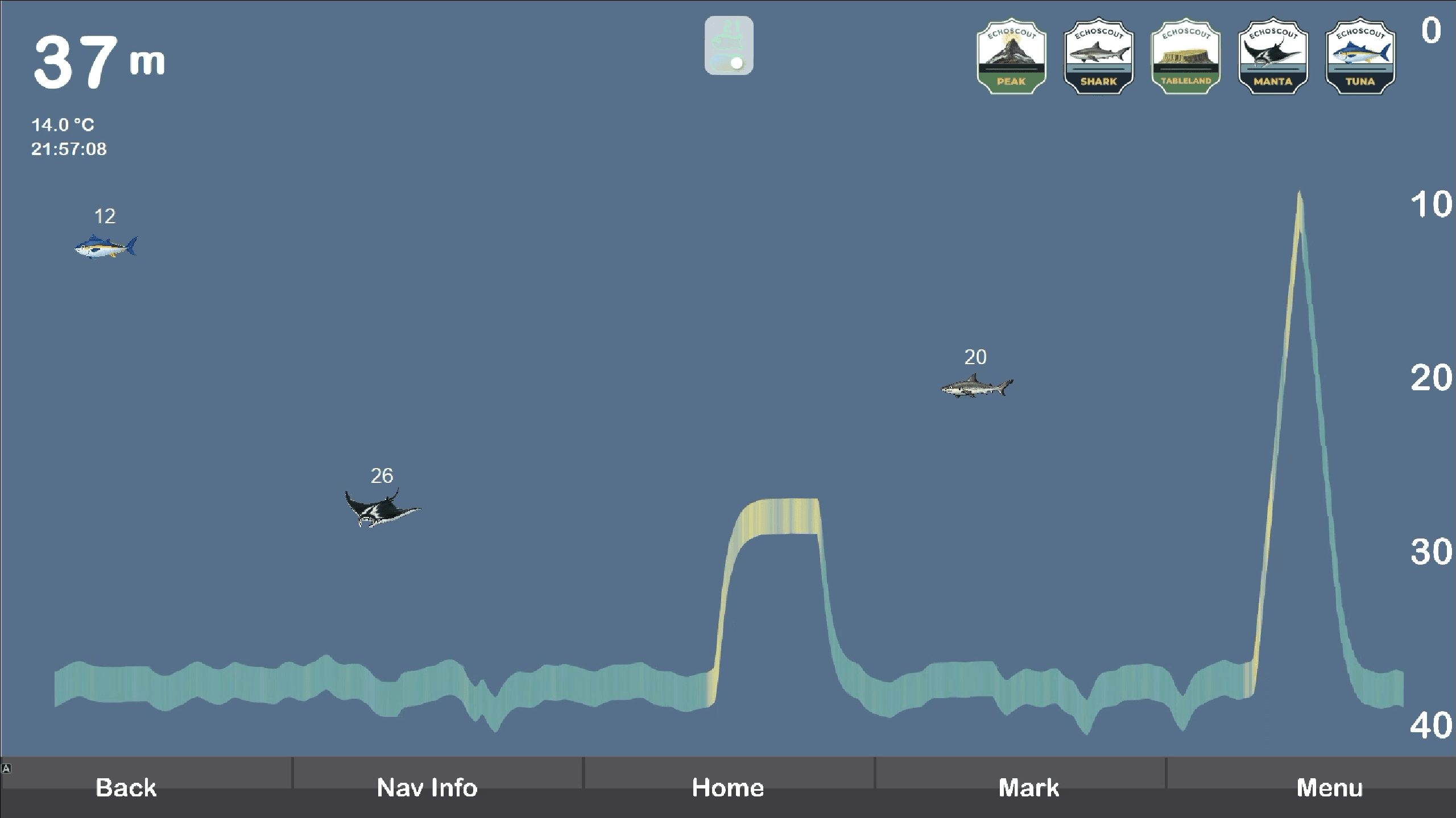 The EchoScout display simplifying terrain and marine life into approachable visual clues