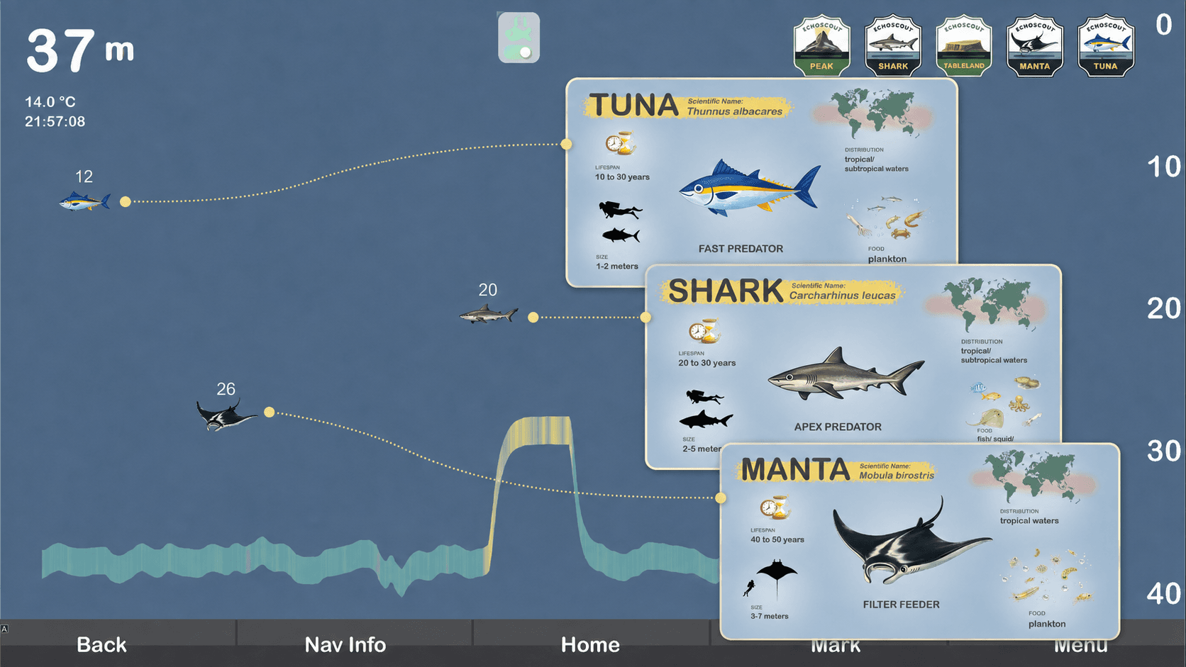 The EchoScout display guiding players to marine life and underwater terrain